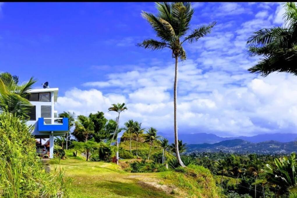 Апартаменти Swim & Paint Art Retreat Las Piedras Екстер'єр фото