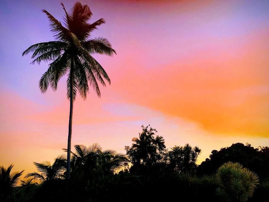 Апартаменти Swim & Paint Art Retreat Las Piedras Екстер'єр фото