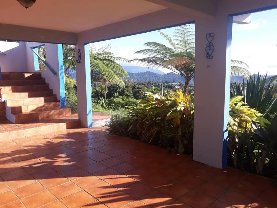 Апартаменти Swim & Paint Art Retreat Las Piedras Екстер'єр фото