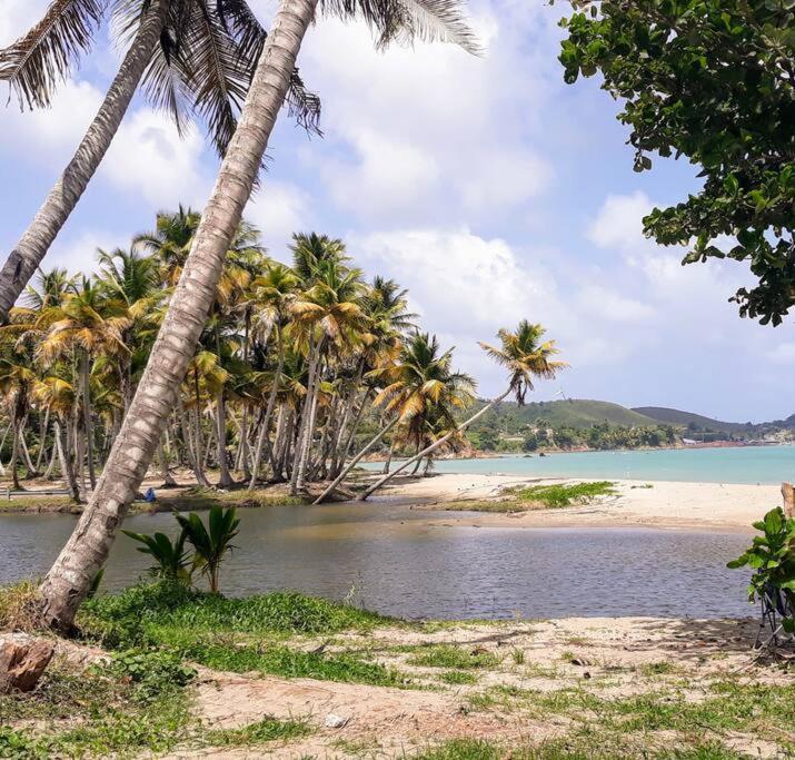Апартаменти Swim & Paint Art Retreat Las Piedras Екстер'єр фото
